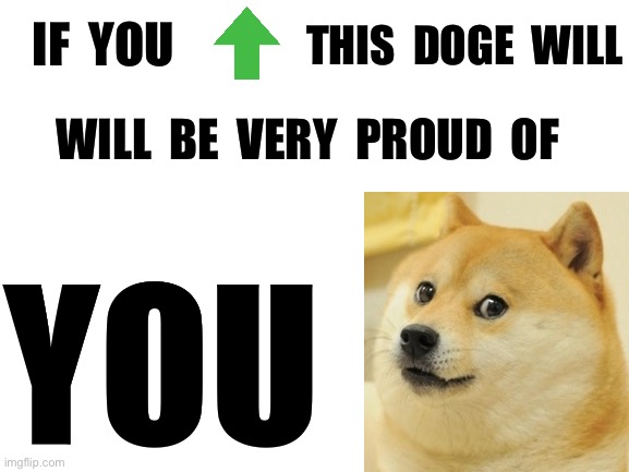 No this is not upvote begging I am only saying doge will be proud if you upvote | IF  YOU; THIS  DOGE  WILL; WILL  BE  VERY  PROUD  OF; YOU | image tagged in doge | made w/ Imgflip meme maker