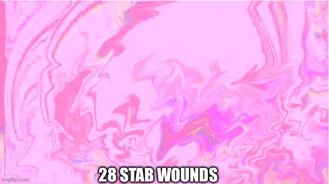 28 STAB WOUNDS | made w/ Imgflip meme maker