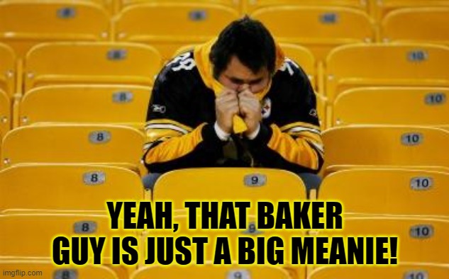 Steelers suck | YEAH, THAT BAKER GUY IS JUST A BIG MEANIE! | image tagged in steelers suck | made w/ Imgflip meme maker