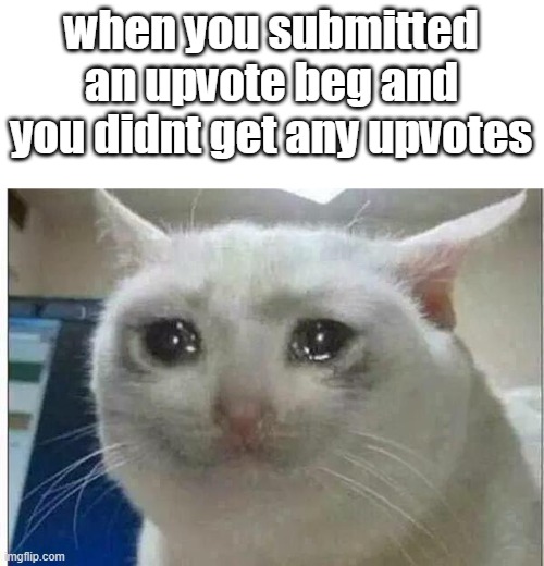 crying cat | when you submitted an upvote beg and you didnt get any upvotes | image tagged in crying cat | made w/ Imgflip meme maker