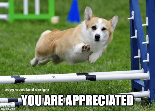 awesome corgi andshit | YOU ARE APPRECIATED | image tagged in awesome corgi andshit | made w/ Imgflip meme maker