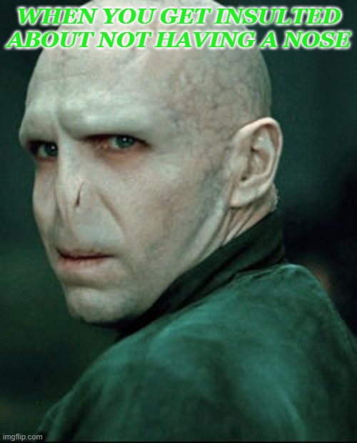 Voldemort | WHEN YOU GET INSULTED ABOUT NOT HAVING A NOSE | image tagged in voldemort | made w/ Imgflip meme maker