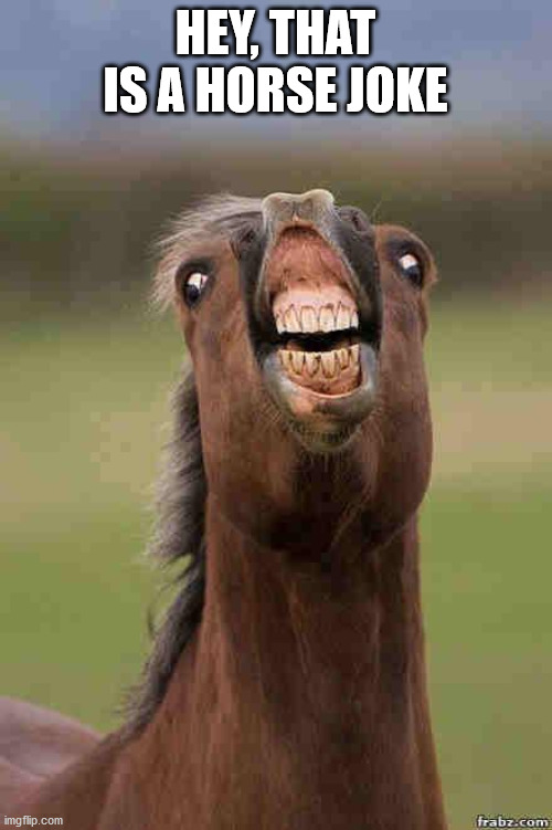 horse face | HEY, THAT IS A HORSE JOKE | image tagged in horse face | made w/ Imgflip meme maker
