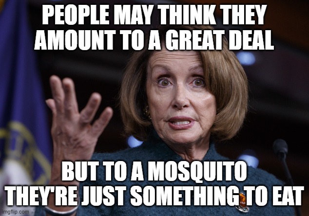 Good old Nancy Pelosi | PEOPLE MAY THINK THEY AMOUNT TO A GREAT DEAL; BUT TO A MOSQUITO THEY'RE JUST SOMETHING TO EAT | image tagged in good old nancy pelosi | made w/ Imgflip meme maker