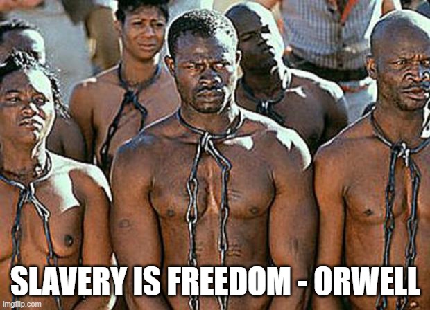 slavery | SLAVERY IS FREEDOM - ORWELL | image tagged in slavery | made w/ Imgflip meme maker