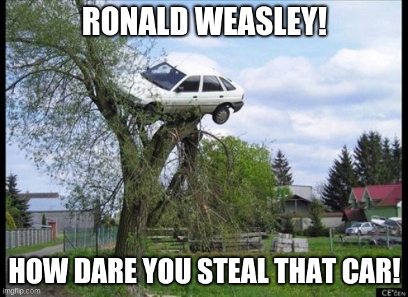Pottah |  RONALD WEASLEY! HOW DARE YOU STEAL THAT CAR! | image tagged in memes,secure parking,harry potter,ron weasley | made w/ Imgflip meme maker