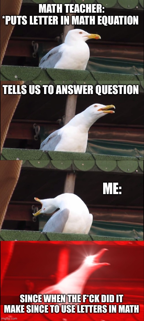Answer my question | MATH TEACHER:
*PUTS LETTER IN MATH EQUATION; TELLS US TO ANSWER QUESTION; ME:; SINCE WHEN THE F*CK DID IT MAKE SINCE TO USE LETTERS IN MATH | image tagged in memes,inhaling seagull | made w/ Imgflip meme maker