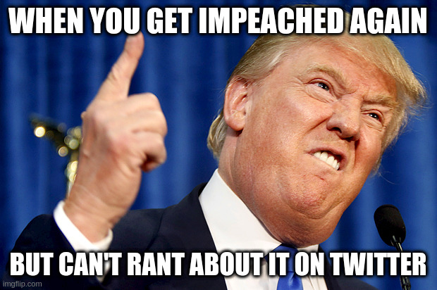 Donald Trump | WHEN YOU GET IMPEACHED AGAIN; BUT CAN'T RANT ABOUT IT ON TWITTER | image tagged in donald trump | made w/ Imgflip meme maker