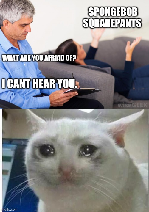 How could you even be afraid of a show? | SPONGEBOB SQRAREPANTS; WHAT ARE YOU AFRIAD OF? I CANT HEAR YOU. | image tagged in therapist notes,crying cat | made w/ Imgflip meme maker