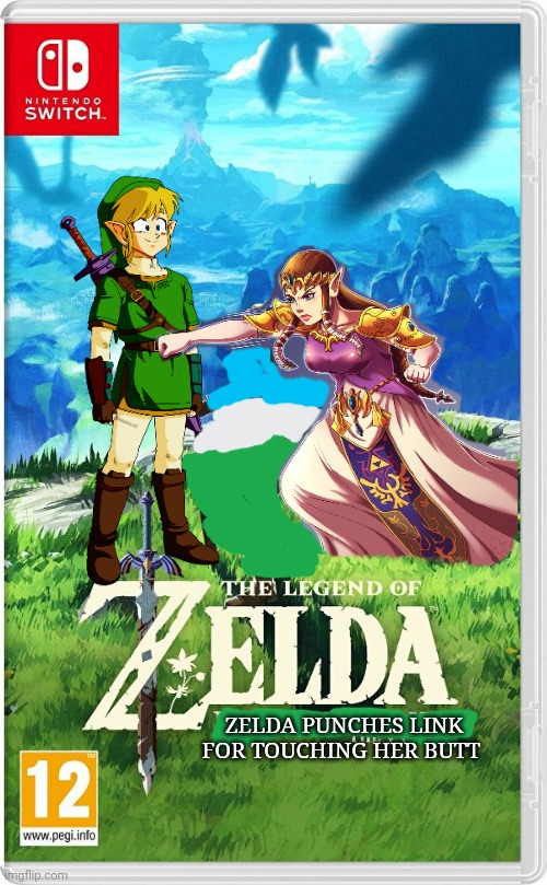 Best new switch game | ZELDA PUNCHES LINK FOR TOUCHING HER BUTT | image tagged in link,zelda,legend of zelda,dont touch,zeldas butt | made w/ Imgflip meme maker