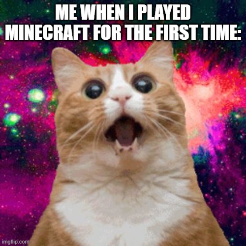 Kitties be trippin | ME WHEN I PLAYED MINECRAFT FOR THE FIRST TIME: | image tagged in kitties be trippin | made w/ Imgflip meme maker