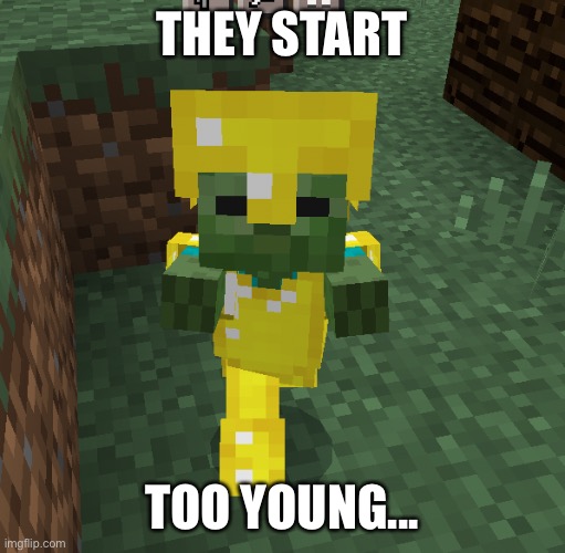 This meme looks like a normie. Sorry. | THEY START; TOO YOUNG... | image tagged in zombie,gold,knight armor,child abuse,minecraft,memes | made w/ Imgflip meme maker