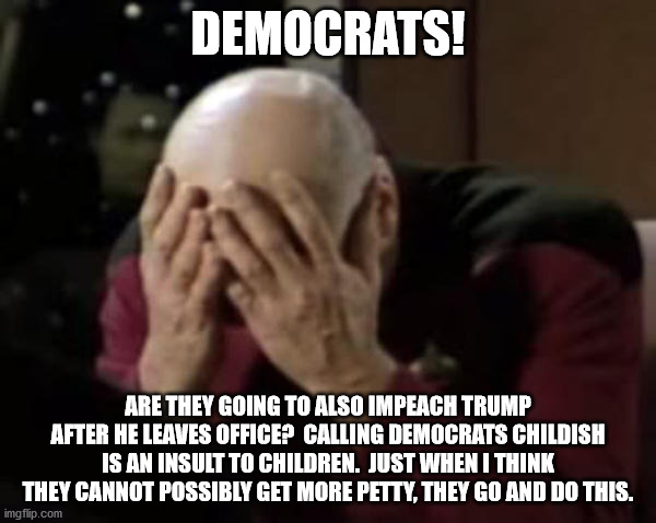 This impeachment is an absolute disgrace.  I have never been more ashamed of the Democrat Party | DEMOCRATS! ARE THEY GOING TO ALSO IMPEACH TRUMP AFTER HE LEAVES OFFICE?  CALLING DEMOCRATS CHILDISH IS AN INSULT TO CHILDREN.  JUST WHEN I THINK THEY CANNOT POSSIBLY GET MORE PETTY, THEY GO AND DO THIS. | image tagged in shame,petty,impeachment | made w/ Imgflip meme maker