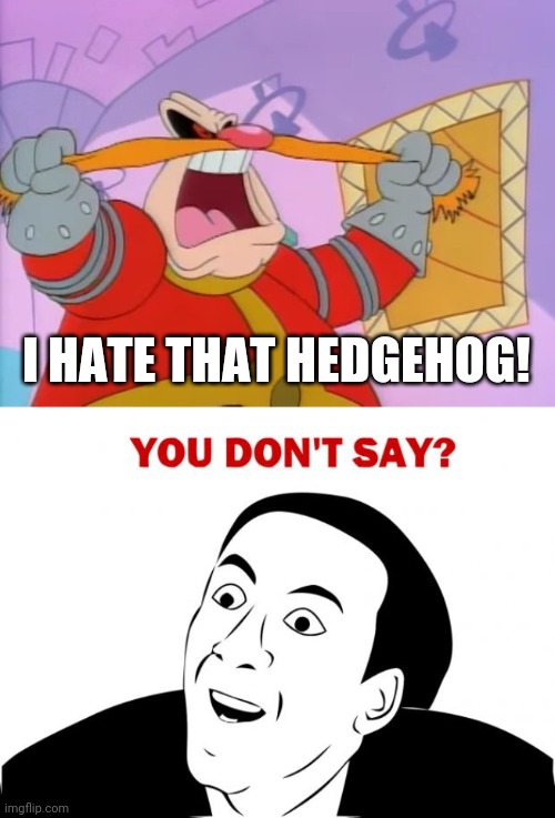 I HATE THAT HEDGEHOG! | image tagged in memes,you don't say | made w/ Imgflip meme maker