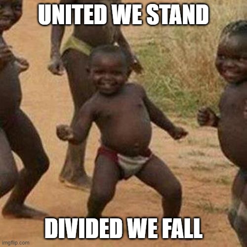 Third World Success Kid | UNITED WE STAND; DIVIDED WE FALL | image tagged in memes,third world success kid | made w/ Imgflip meme maker