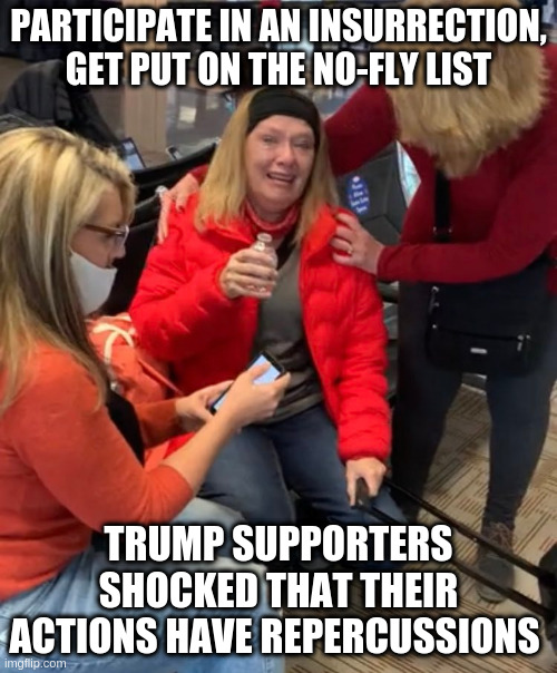 No-fly lists aren't for people who look like me! | PARTICIPATE IN AN INSURRECTION, GET PUT ON THE NO-FLY LIST; TRUMP SUPPORTERS SHOCKED THAT THEIR ACTIONS HAVE REPERCUSSIONS | image tagged in melody black,capitol hill,tiniest violin,humor,trump,rightwing snowflake | made w/ Imgflip meme maker