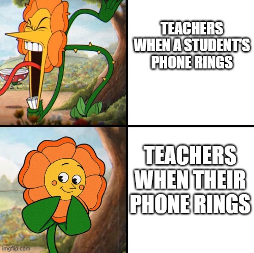 Tru story |  TEACHERS WHEN A STUDENT'S PHONE RINGS; TEACHERS WHEN THEIR PHONE RINGS | image tagged in angry flower | made w/ Imgflip meme maker