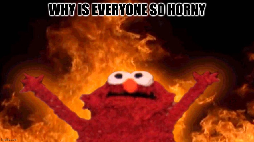 Elmo on fire | WHY IS EVERYONE SO HORNY | image tagged in elmo on fire | made w/ Imgflip meme maker