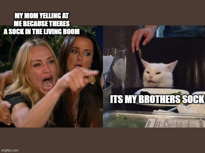 Woman yelling at cat | MY MOM YELLING AT ME BECAUSE THERES A SOCK IN THE LIVING ROOM; ITS MY BROTHERS SOCK | image tagged in woman yelling at cat | made w/ Imgflip meme maker