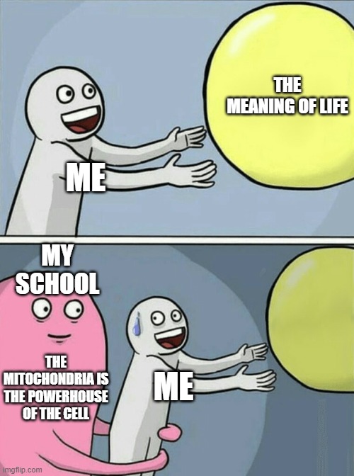 Running Away Balloon | THE MEANING OF LIFE; ME; MY SCHOOL; THE MITOCHONDRIA IS THE POWERHOUSE OF THE CELL; ME | image tagged in memes,running away balloon | made w/ Imgflip meme maker