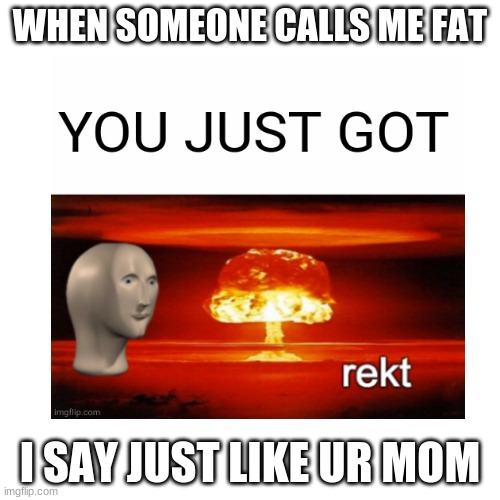 get rekt kid | WHEN SOMEONE CALLS ME FAT; I SAY JUST LIKE UR MOM | image tagged in you just got rekt,funny,bullying a bully | made w/ Imgflip meme maker