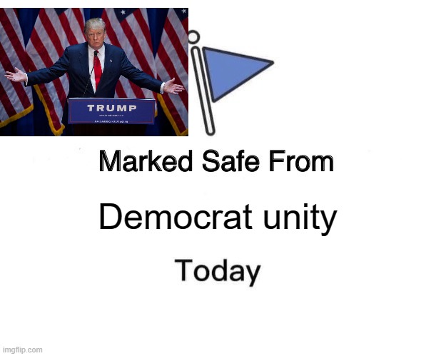 Marked Safe From Meme | Democrat unity | image tagged in memes,marked safe from | made w/ Imgflip meme maker