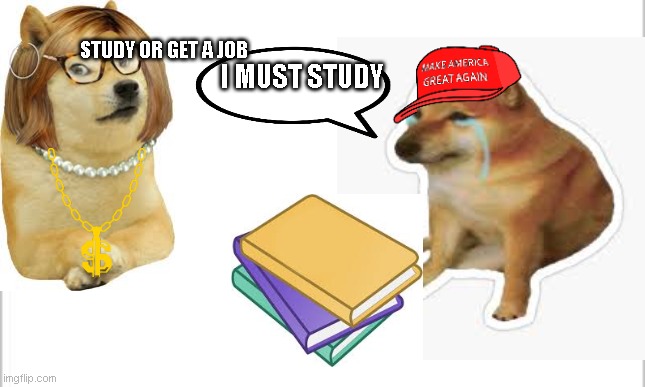 Random doge | STUDY OR GET A JOB; I MUST STUDY | image tagged in white background | made w/ Imgflip meme maker