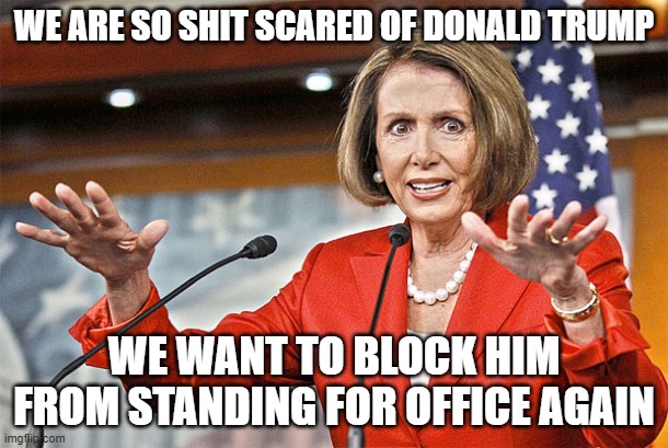Nancy Pelosi is crazy | WE ARE SO SHIT SCARED OF DONALD TRUMP; WE WANT TO BLOCK HIM FROM STANDING FOR OFFICE AGAIN | image tagged in nancy pelosi is crazy | made w/ Imgflip meme maker