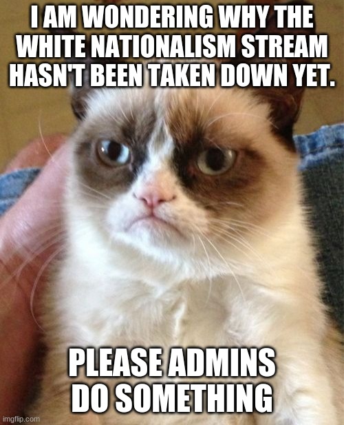 Racism is not tolerated on imgflip | I AM WONDERING WHY THE WHITE NATIONALISM STREAM HASN'T BEEN TAKEN DOWN YET. PLEASE ADMINS DO SOMETHING | image tagged in memes,grumpy cat,psa,serious | made w/ Imgflip meme maker