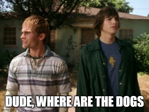 DUDE, WHERE ARE THE DOGS | image tagged in dude wheres my car | made w/ Imgflip meme maker