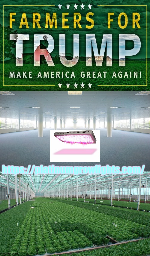 https://youtu.be/fuosZ-8jSRY | https://platinumgrowlights.com/ | image tagged in tried and tested,puka,farmers for trump,bikers 4 trump,office space,usa x uk | made w/ Imgflip meme maker