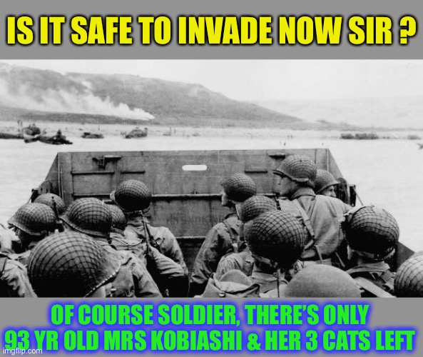 WW2 | IS IT SAFE TO INVADE NOW SIR ? OF COURSE SOLDIER, THERE’S ONLY 93 YR OLD MRS KOBIASHI & HER 3 CATS LEFT | image tagged in ww2 | made w/ Imgflip meme maker