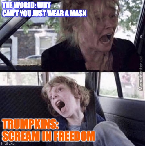 FREEDOM | THE WORLD: WHY CAN'T YOU JUST WEAR A MASK; TRUMPKINS:
SCREAM IN FREEDOM | image tagged in why cant you just be normal blank | made w/ Imgflip meme maker
