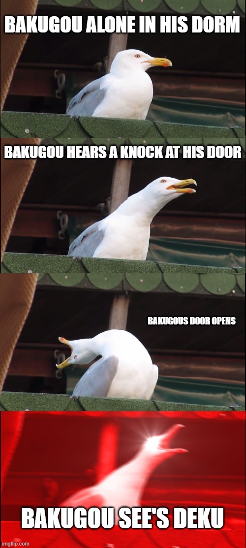 Inhaling Seagull Meme | BAKUGOU ALONE IN HIS DORM; BAKUGOU HEARS A KNOCK AT HIS DOOR; BAKUGOUS DOOR OPENS; BAKUGOU SEE'S DEKU | image tagged in inhaling seagull,bakugou,deku | made w/ Imgflip meme maker