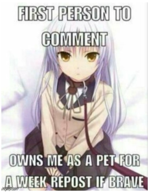 I will be ur pet for a week OwO | image tagged in pets,furry | made w/ Imgflip meme maker