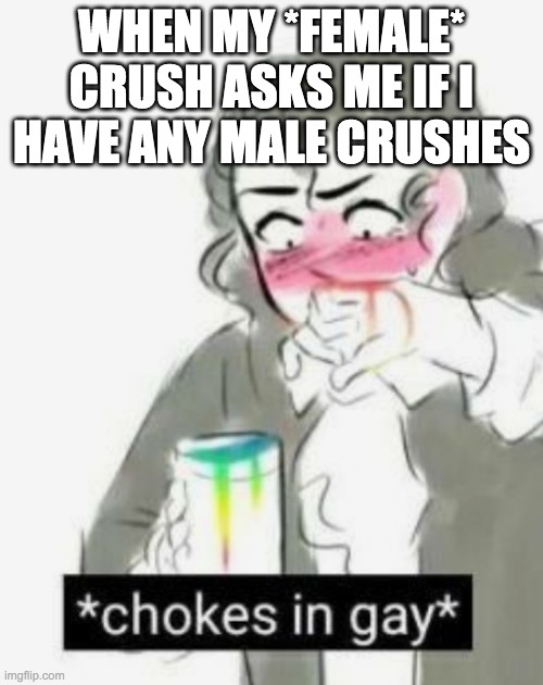 chokes in gay | WHEN MY *FEMALE* CRUSH ASKS ME IF I HAVE ANY MALE CRUSHES | image tagged in chokes in gay | made w/ Imgflip meme maker