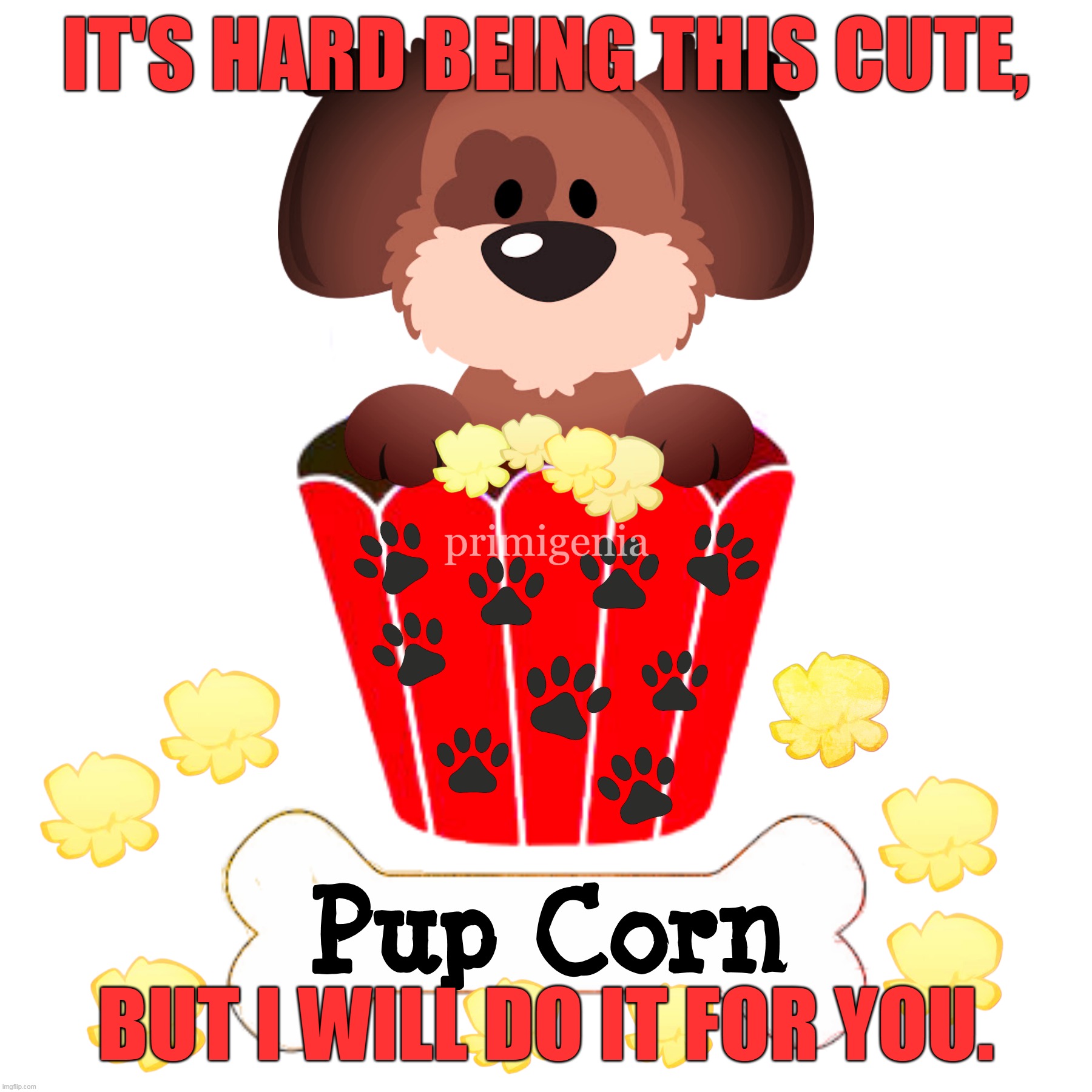 pupcorn | IT'S HARD BEING THIS CUTE, BUT I WILL DO IT FOR YOU. | image tagged in pup,corn,pupcorn | made w/ Imgflip meme maker
