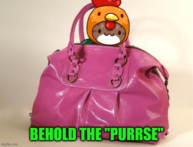 Pursey | BEHOLD THE "PURRSE" | image tagged in pursey | made w/ Imgflip meme maker