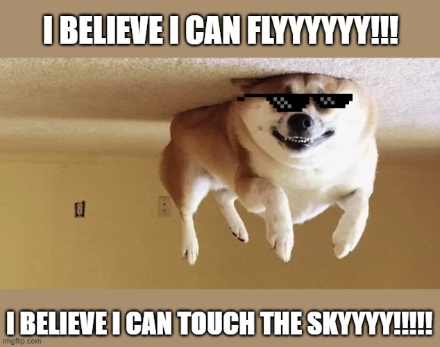 funny dog | I BELIEVE I CAN FLYYYYYY!!! I BELIEVE I CAN TOUCH THE SKYYYY!!!!! | image tagged in funny dogs | made w/ Imgflip meme maker