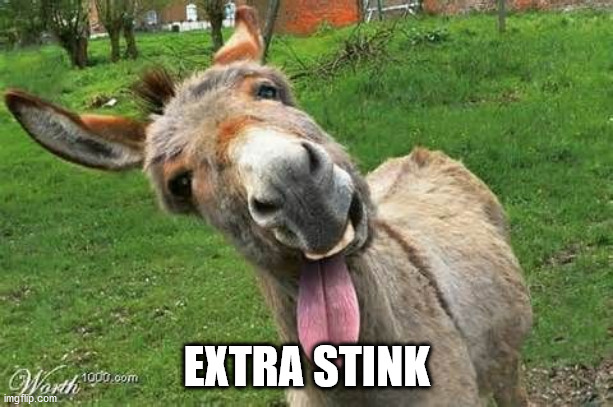 Laughing Donkey | EXTRA STINK | image tagged in laughing donkey | made w/ Imgflip meme maker