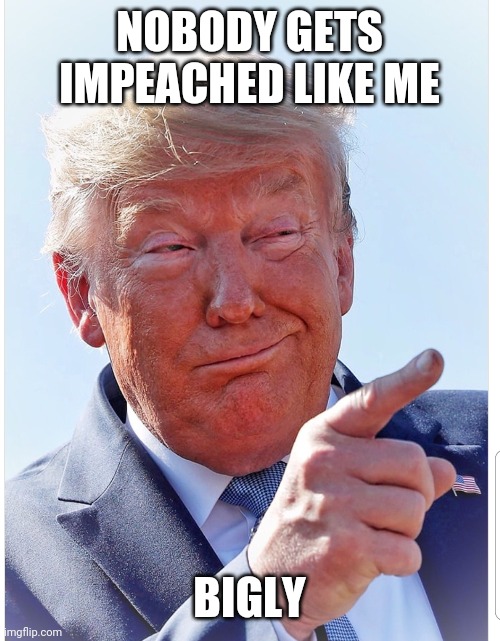 Trump pointing | NOBODY GETS IMPEACHED LIKE ME; BIGLY | image tagged in trump pointing | made w/ Imgflip meme maker
