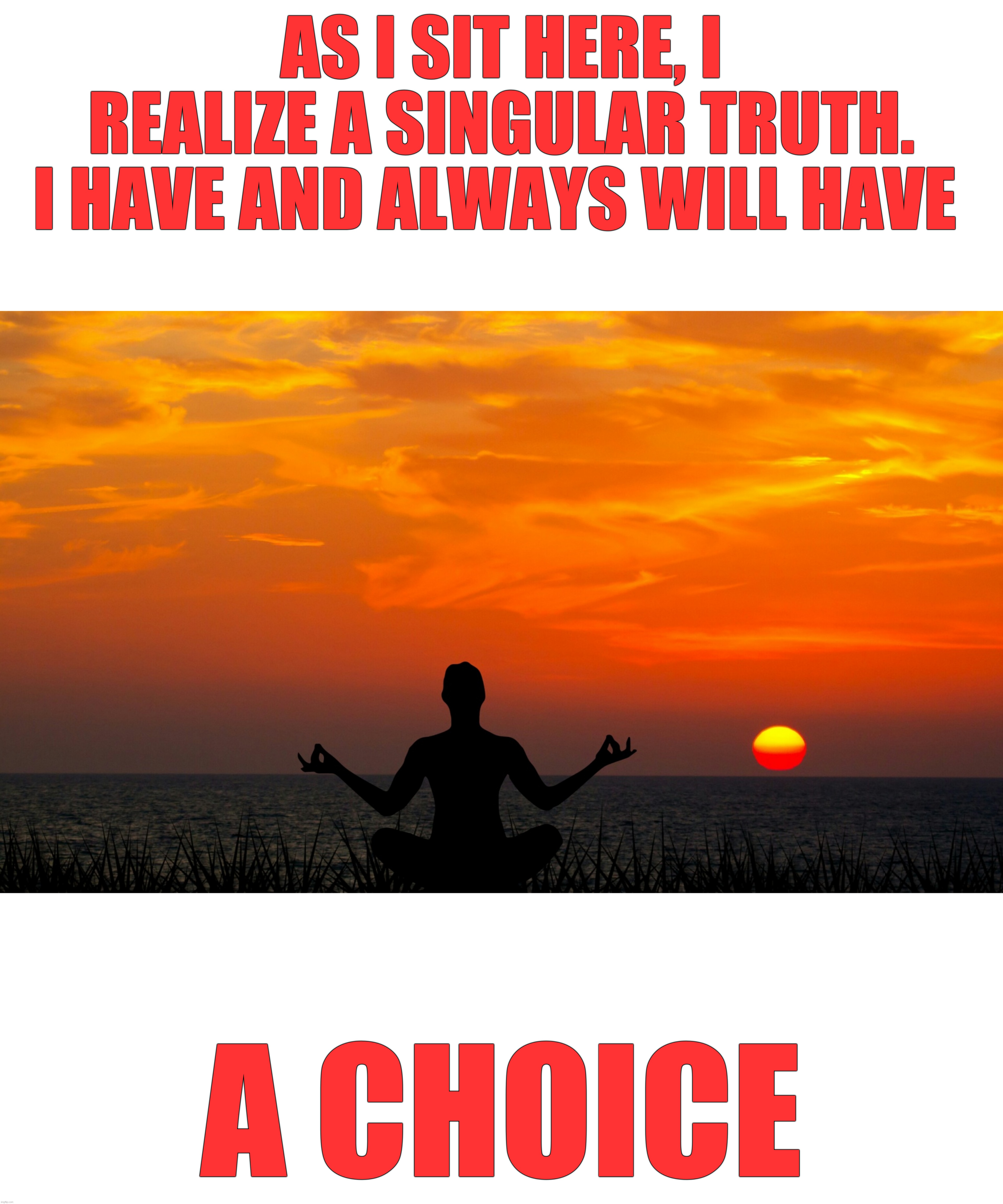 Choice | AS I SIT HERE, I REALIZE A SINGULAR TRUTH.
I HAVE AND ALWAYS WILL HAVE; A CHOICE | image tagged in choice,the scroll of truth | made w/ Imgflip meme maker