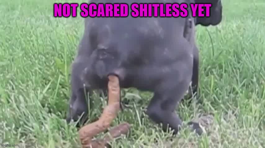 NOT SCARED SHITLESS YET | made w/ Imgflip meme maker