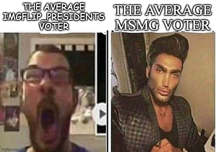 ngl Imgflip_presidents is more of a loose foundation than the crackhead people we have here | THE AVERAGE MSMG VOTER; THE AVERAGE IMGFLIP_PRESIDENTS VOTER | image tagged in average fan vs average enjoyer | made w/ Imgflip meme maker