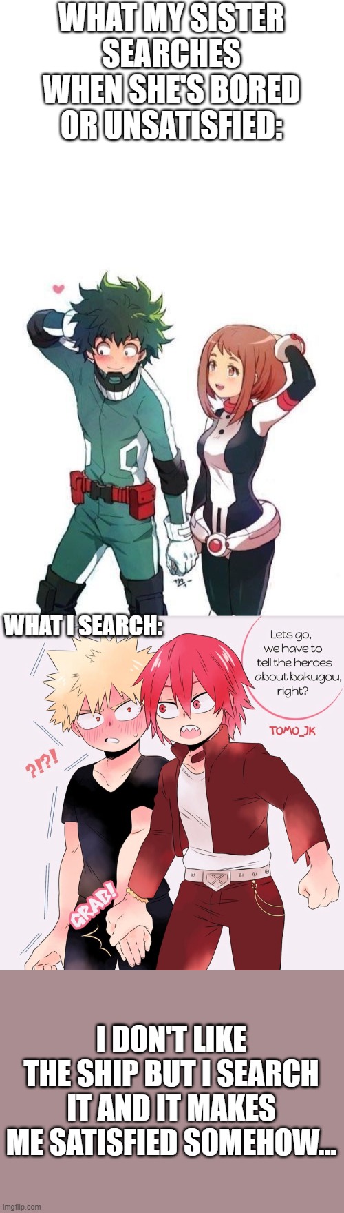 WHAT MY SISTER SEARCHES WHEN SHE'S BORED OR UNSATISFIED:; WHAT I SEARCH:; I DON'T LIKE THE SHIP BUT I SEARCH IT AND IT MAKES ME SATISFIED SOMEHOW... | image tagged in blank white template | made w/ Imgflip meme maker