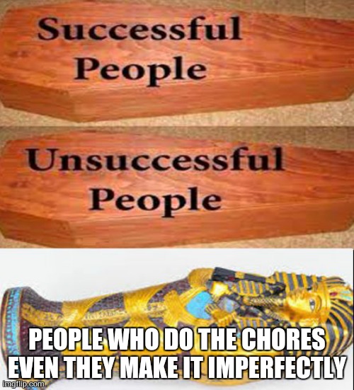 Coffin meme | PEOPLE WHO DO THE CHORES EVEN THEY MAKE IT IMPERFECTLY | image tagged in coffin meme | made w/ Imgflip meme maker