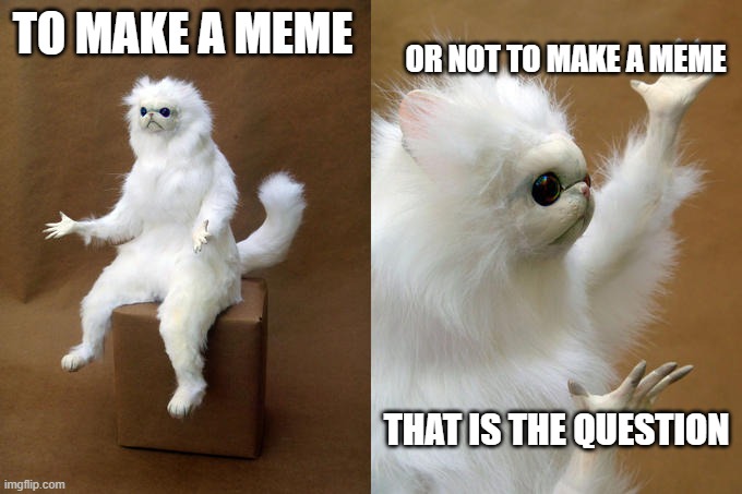 what we cannot decide, the cat meme can |  TO MAKE A MEME; OR NOT TO MAKE A MEME; THAT IS THE QUESTION | image tagged in memes,persian cat room guardian,to or not to | made w/ Imgflip meme maker