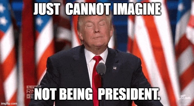 mr president | JUST  CANNOT IMAGINE; NOT BEING  PRESIDENT. | image tagged in funny meme | made w/ Imgflip meme maker