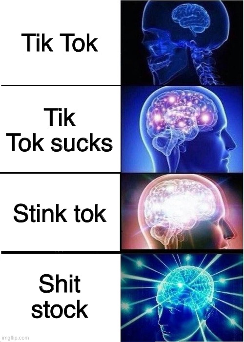 YES | Tik Tok; Tik Tok sucks; Stink tok; Shit stock | image tagged in memes,expanding brain,tiktok sucks,tiktok,infinite iq,yes | made w/ Imgflip meme maker