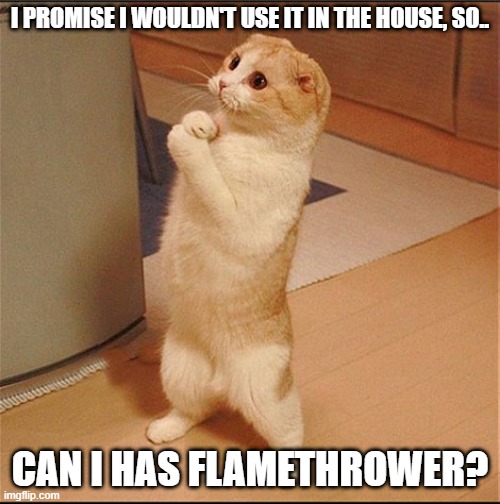 flamethrower cat | I PROMISE I WOULDN'T USE IT IN THE HOUSE, SO.. CAN I HAS FLAMETHROWER? | image tagged in can i has flamethrower | made w/ Imgflip meme maker